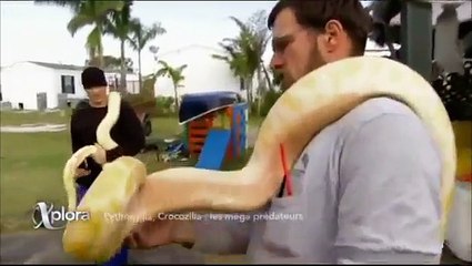 Animalier Les Mega Predateurs | Documentaire part 2/2