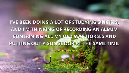 David Friedman Quotes #2