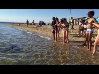 Video herunterladen: Melbourne Beachgoers Have Close Encounter With Shark