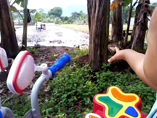 video cara mengolah tanah sawah agar mudah ditanami padi 2 April 2017