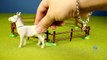 PLAYMOBIL Country Farm Animals Pen and Hen House Building