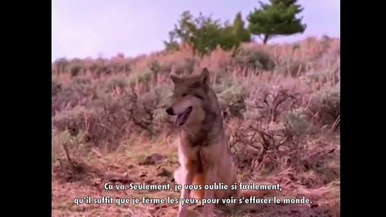 Lonepsi - Le Loup des Steppes