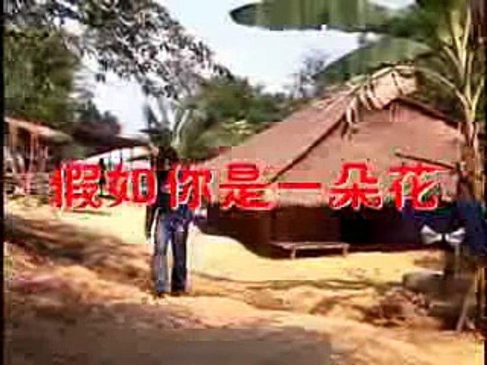 Niag Dej Dag (Yi Duo Hua) - Tub Yaj and Mab Suab Lis