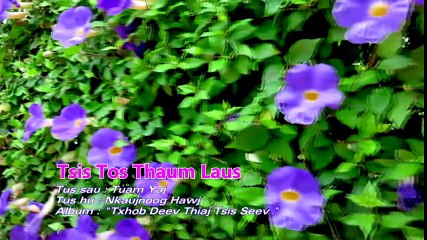 NKAUJNOOG HAWJ - TXHOB TOS HLUB THAUM LAUS