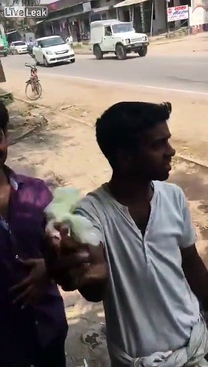 La technique de cet homme pour vendre des poussins scandalise les internautes