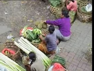 BALI INDONESIE (BALLADE À UBUD)