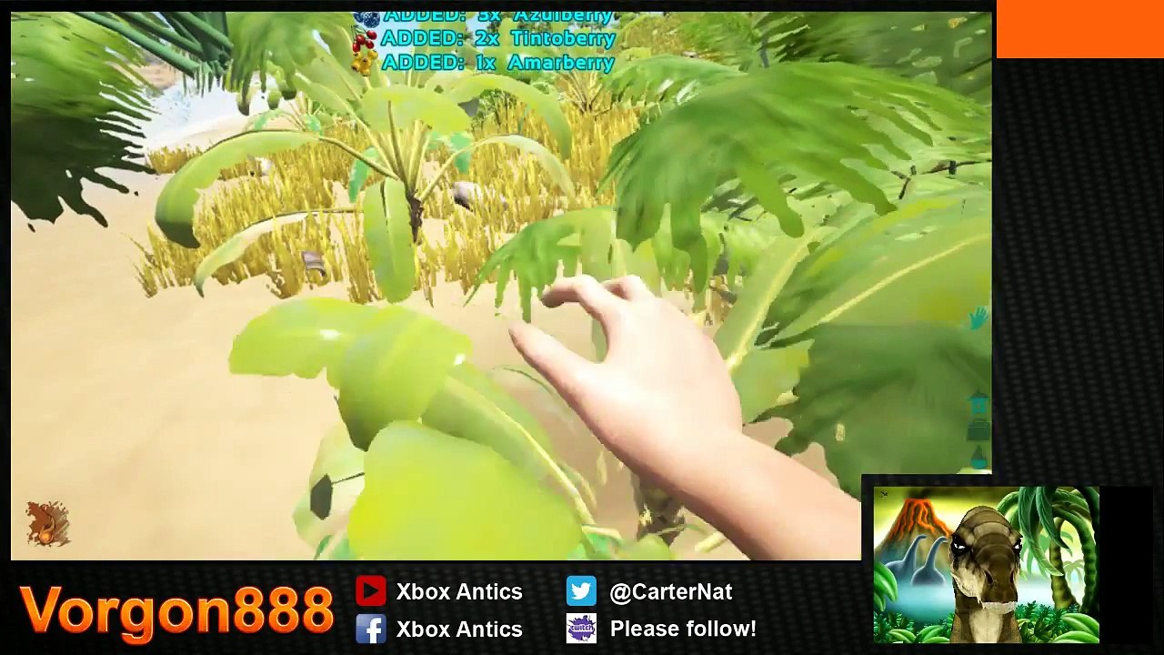 Ark: First Days on the island