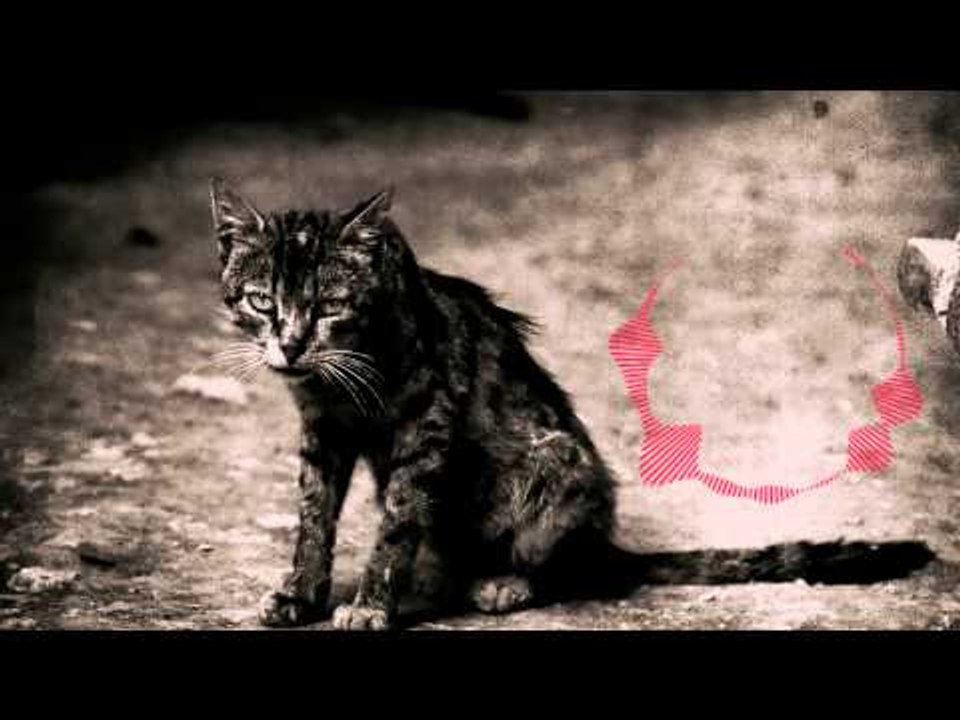 Piano Dubstep 2 - BobGmbH (SSBE Remix)