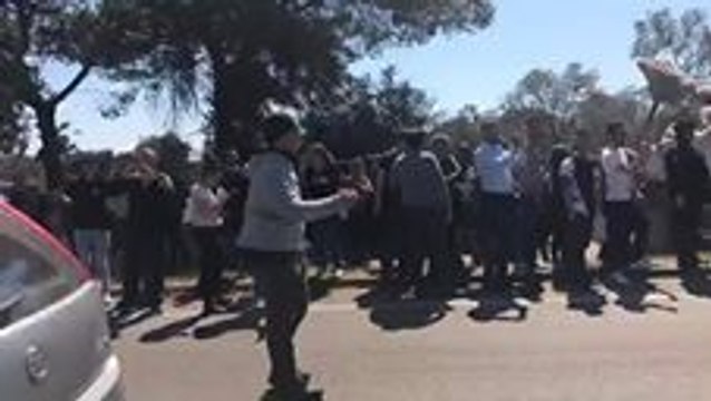 Anti-Pipeline Protesters Block Trucks Carrying Uprooted Olive Trees