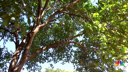 Mercedes-AMG C 43 - Road Test Review-L