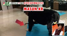 사설경마사이트, 인터넷경마 【 MaSUN 쩜 KR 】 온라인경륜