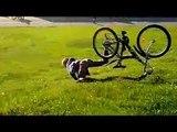 Ultimate BIKE and MOTORBIKE Fails 2015 ★ Bicycle VS Motorcycle FAILS Compilation ★