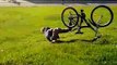 Ultimate BIKE and MOTORBIKE Fails 2015 ★ Bicycle VS Motorcycle FAILS Compilation ★