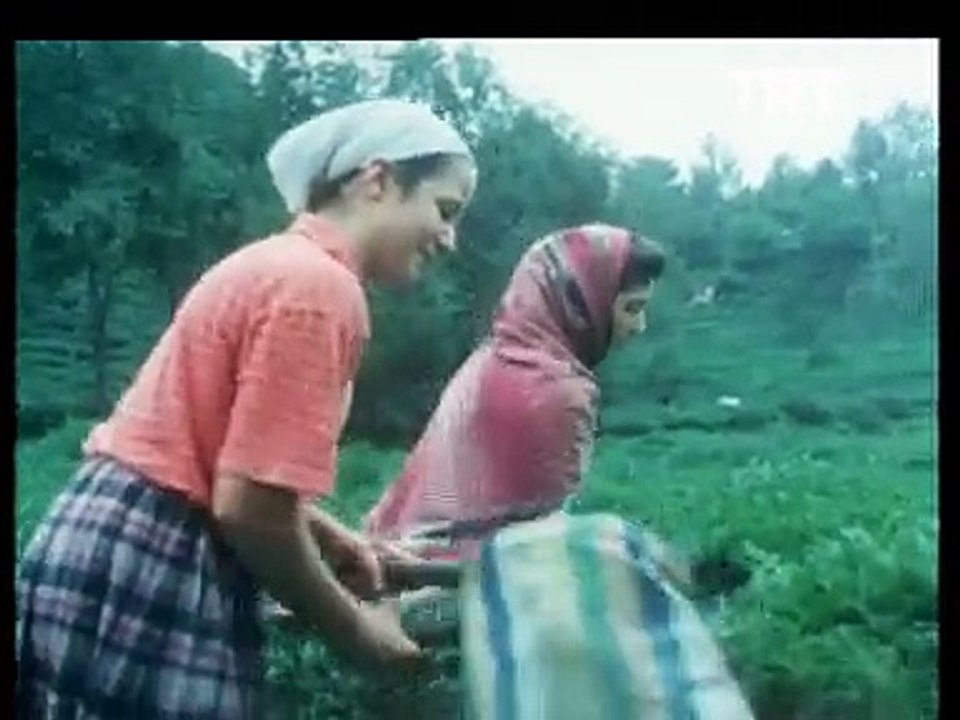 1986 yılında Rize