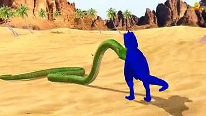 animals dinosaurs-hehe _2