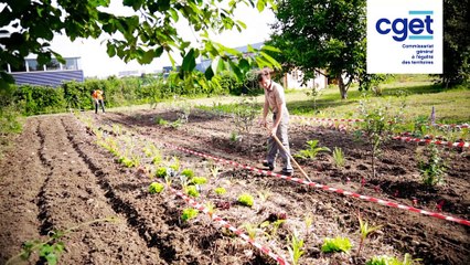 [#3] Innovations et quartiers prioritaires | Novaedia, le traiteur bio, équitable et solidaire