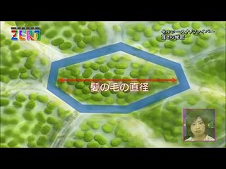 Popular Videos - サイエンスZERO