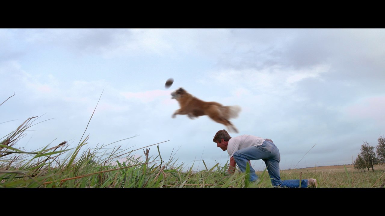 MES VIES DE CHIENS - Bande annonce 60s - VF