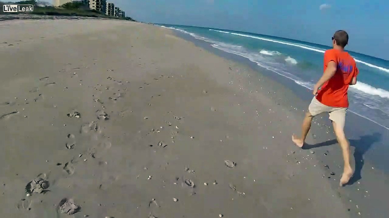 Un homme courageux tire un requin furieux hors de l’eau et lui ouvre la gueule… avant de lui remettre dans l’eau