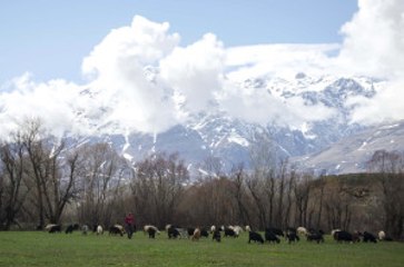 Bahar ve Kış Bir Arada