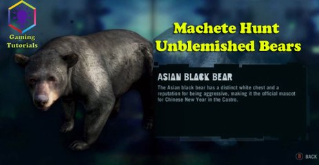 Far Cry 3 Gameplay Part 108 - Path of the Hunter 18 - Machete Hunt Unblemished Bears
