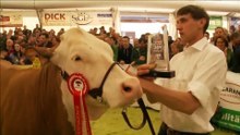 Bundesfleckviehschau 2017 - Impressionen 01.04.2017
