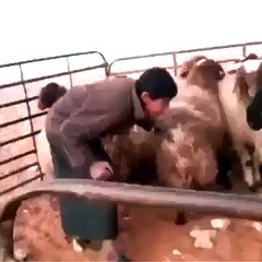 VID-20160306-WA0005