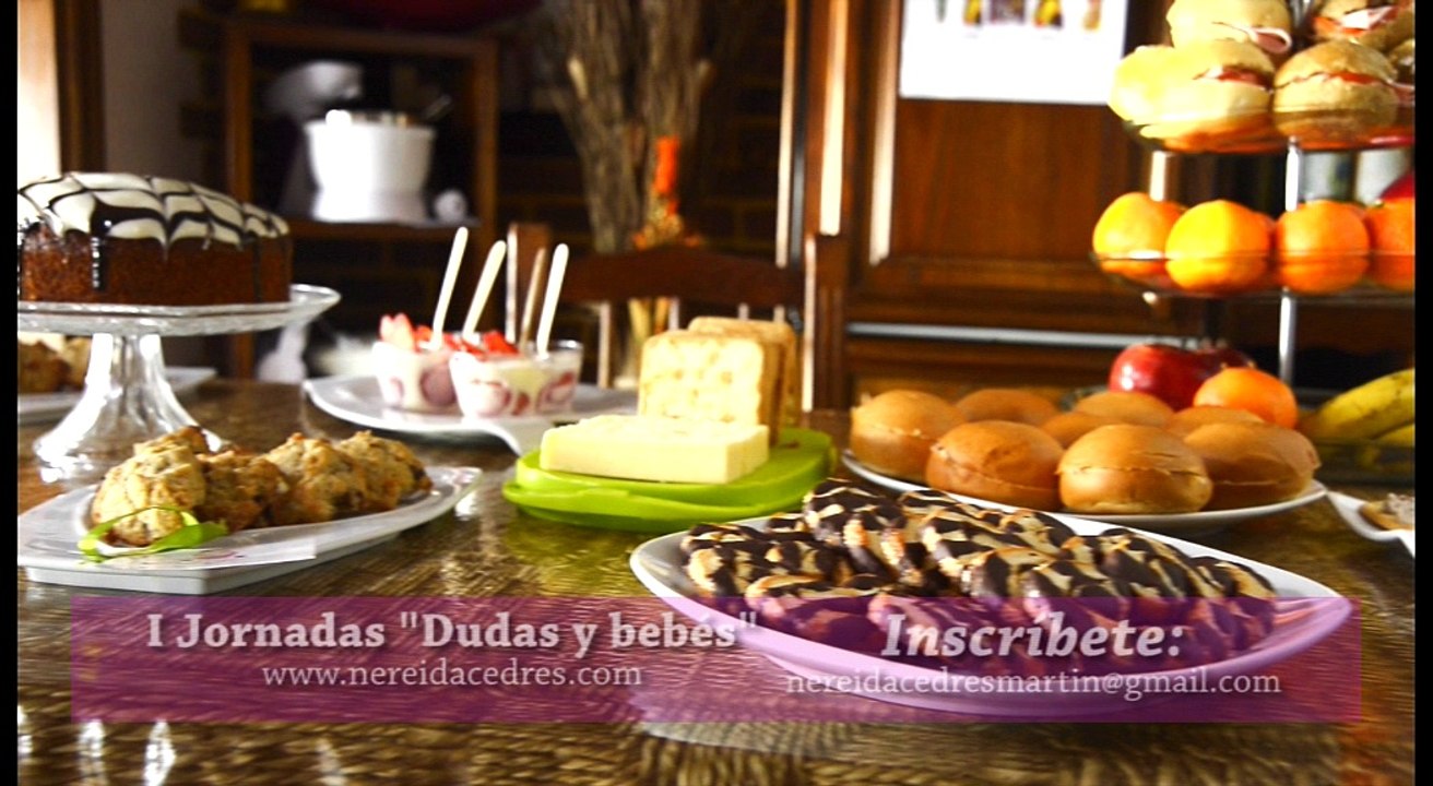 I JORNADAS DUDAS Y BEBES