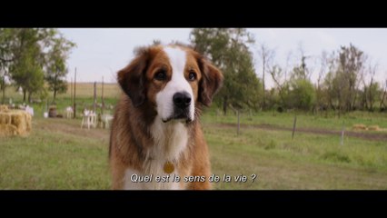 MES VIES DE CHIENS - Featurette - A Look Inside - VOST [Full HD,1920x1080]