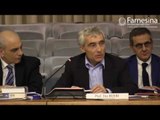 Roma - Consiglio Generale degli Italiani all'Estero (03.04.17)