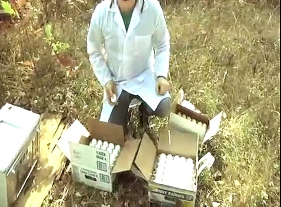 Ovaj čovjek je stavio 173 jaja u mikrovalnu, pogledajte šta se dogodilo sa njima