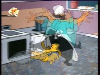 نقار الخشب الحلقه 1