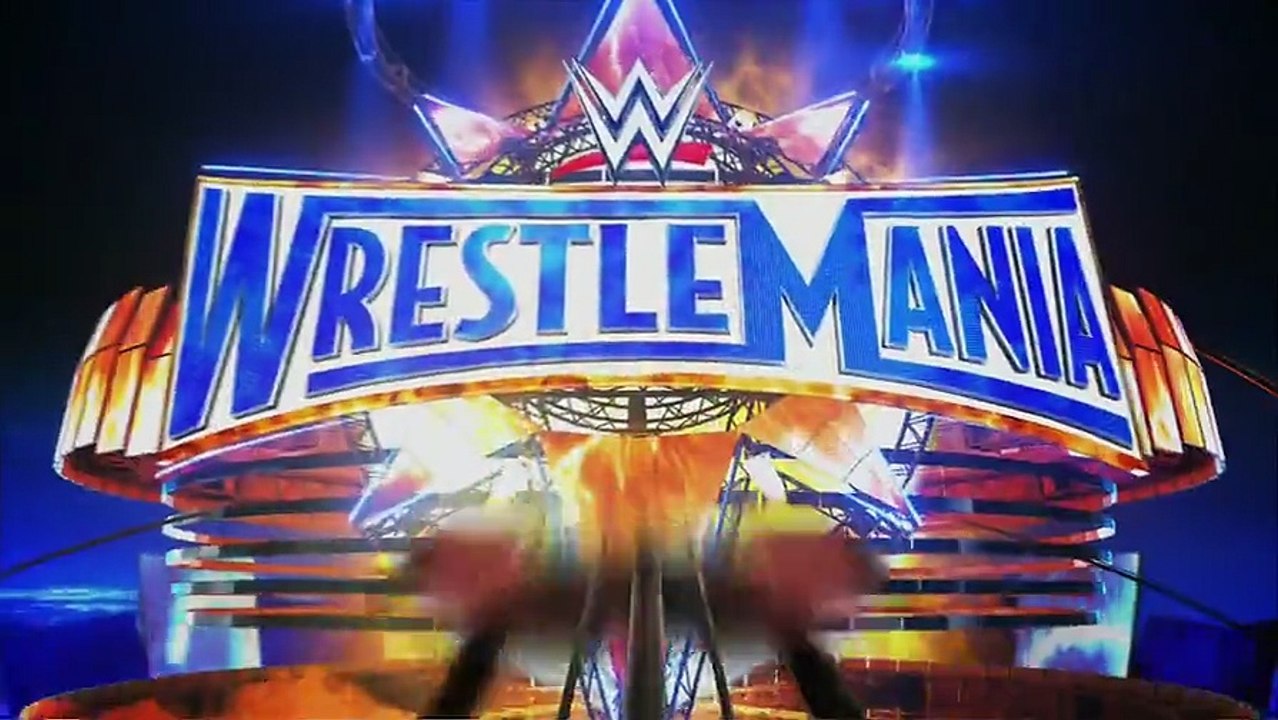 Roman Reigns vs The Undertaker