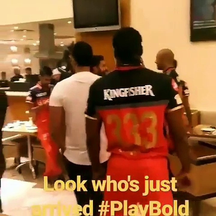 17777663_1658852054130297_9117377213266657280_n