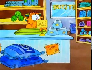 Garfiel Y sus amigos Español Latino Capitulo6