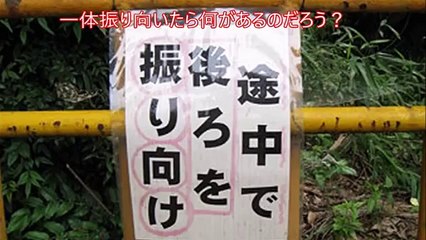 【閲覧注意】恐怖!?よく見ると怖い・不思議な衝撃写真【心霊・都市伝説】