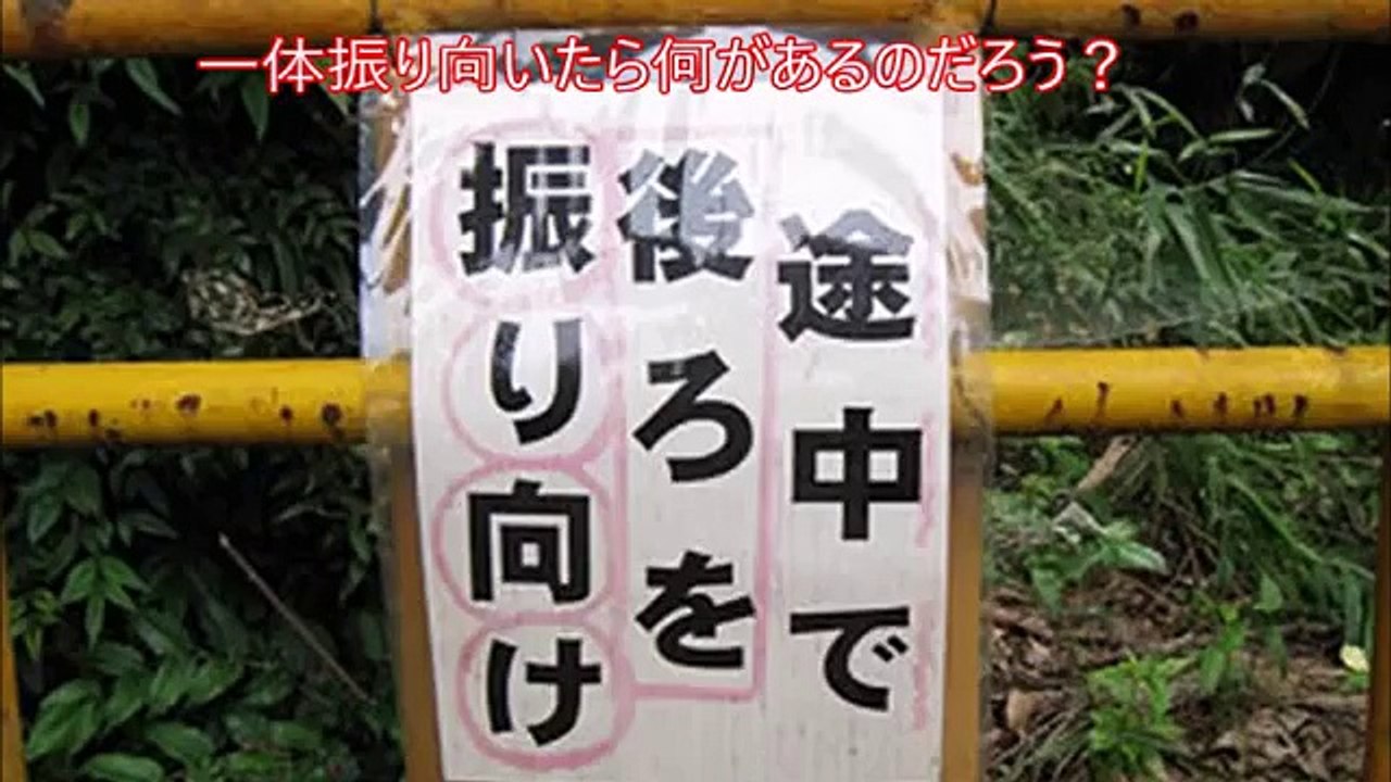 【閲覧注意】恐怖!?よく見ると怖い・不思議な衝撃写真【心霊・都市伝説】