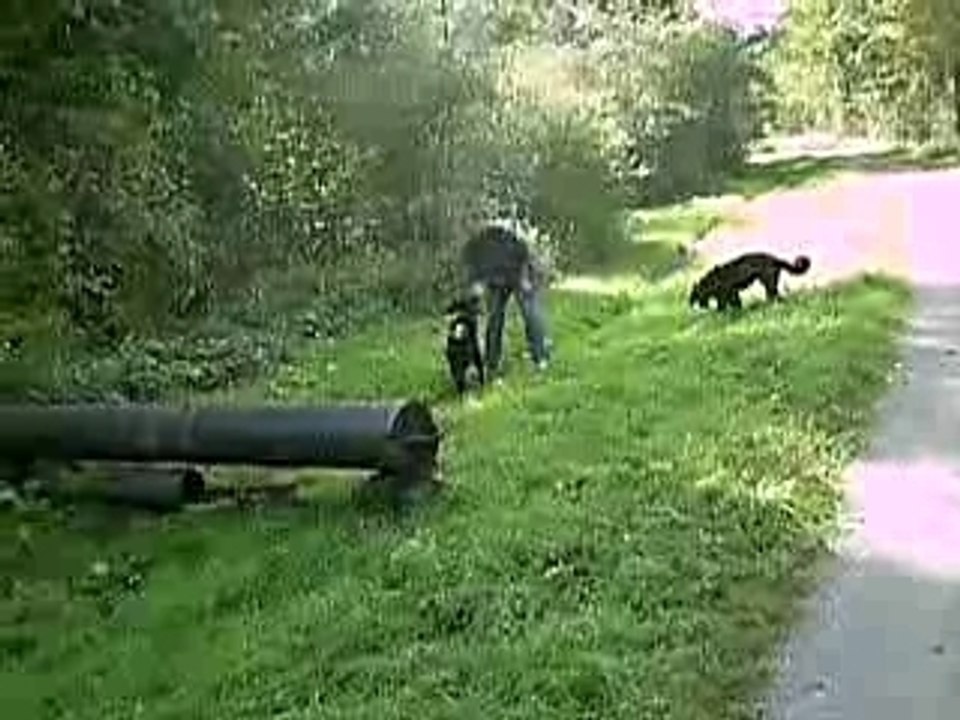 Günter m. Anouk u. Gina