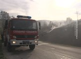 Ugašen požar na Borskom jezeru, 3. april 2017. (RTV Bor)
