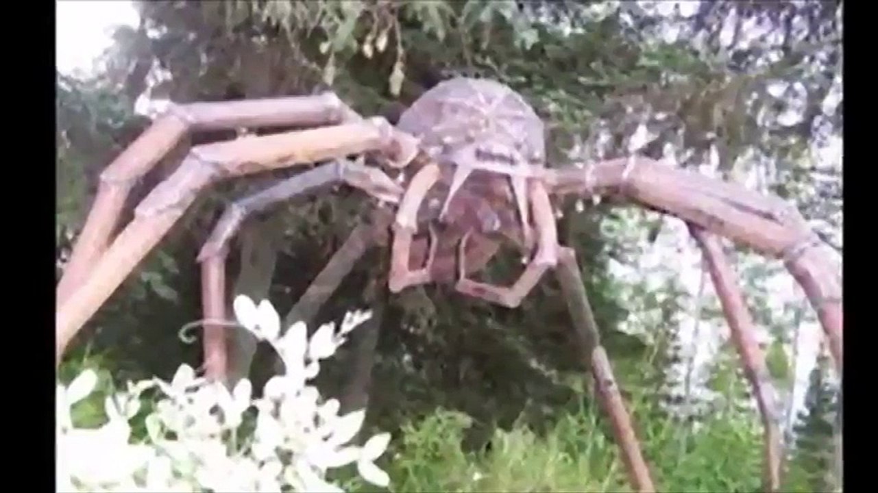 【閲覧注意】存在する信憑性の高いUMA(巨大生物、怪物)１０選【未確認生物】】驚愕の事実都市伝説!!