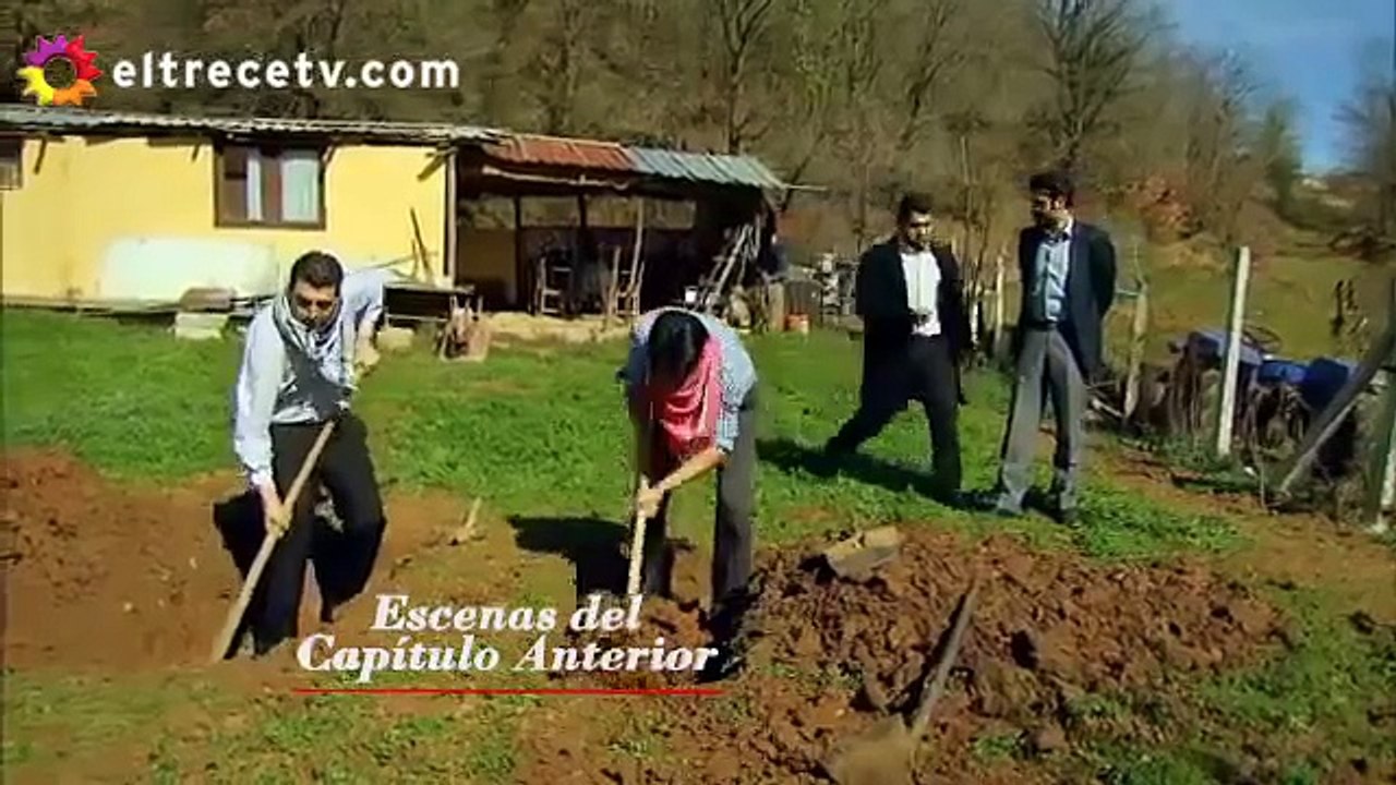 Esposa Joven 62