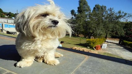 서울휴게텔 〈서울건마〉아달〈서울오피〉