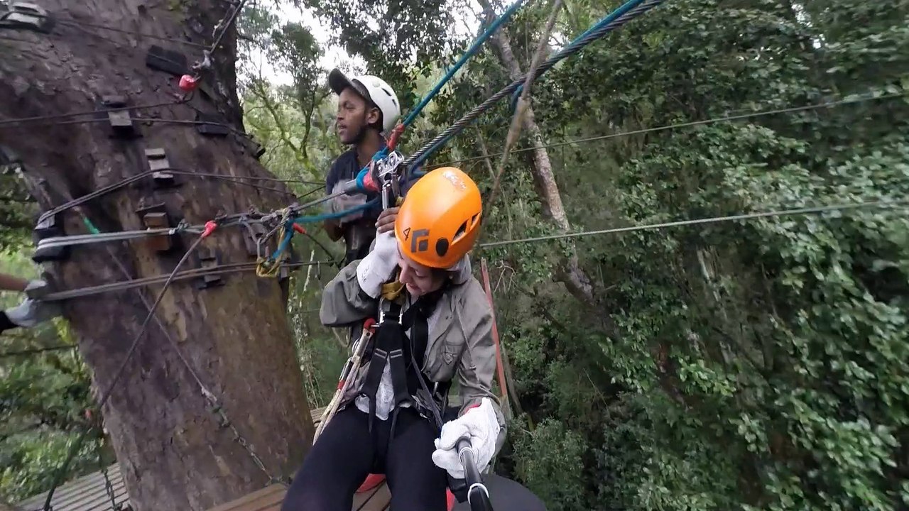 Happy Birthday Julia