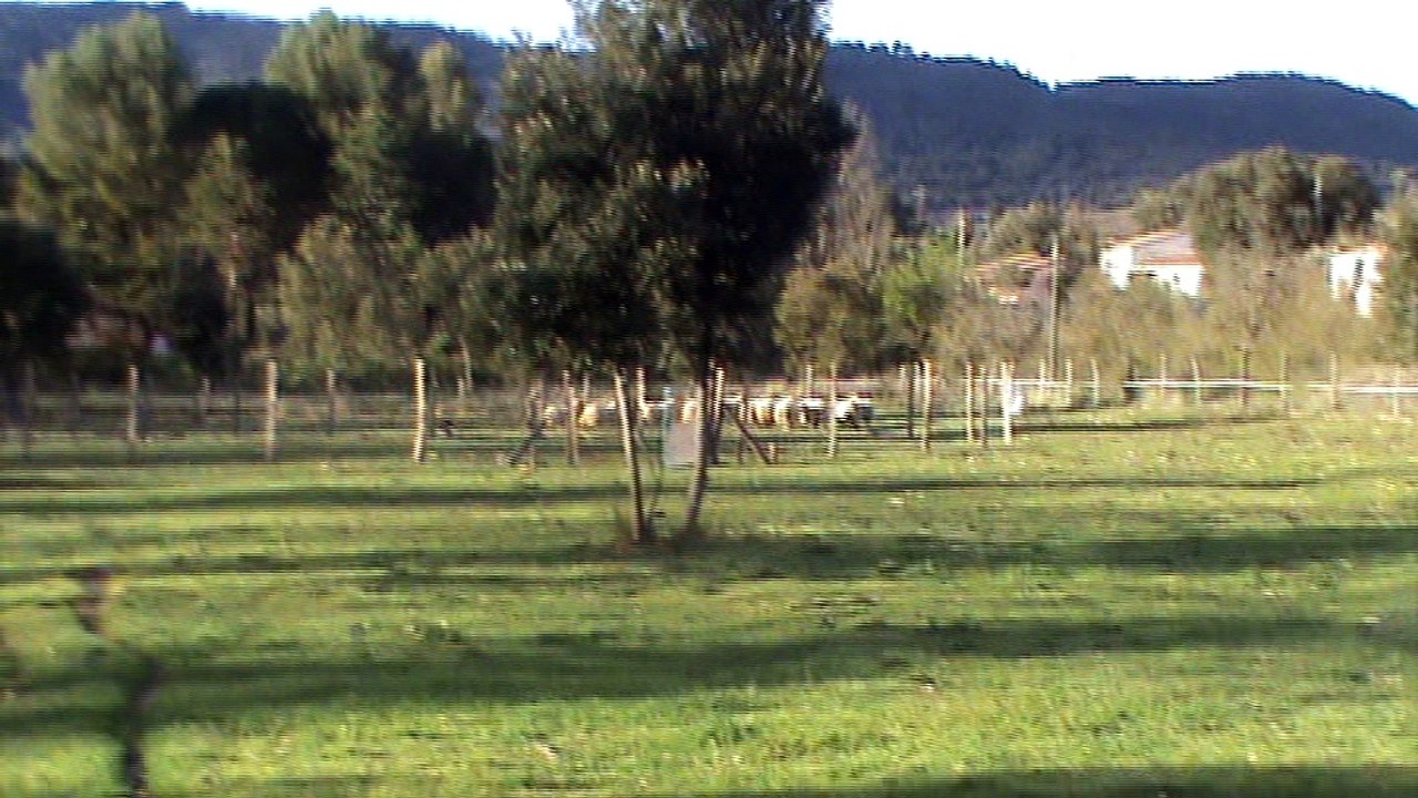 H'eve du blues des alpages