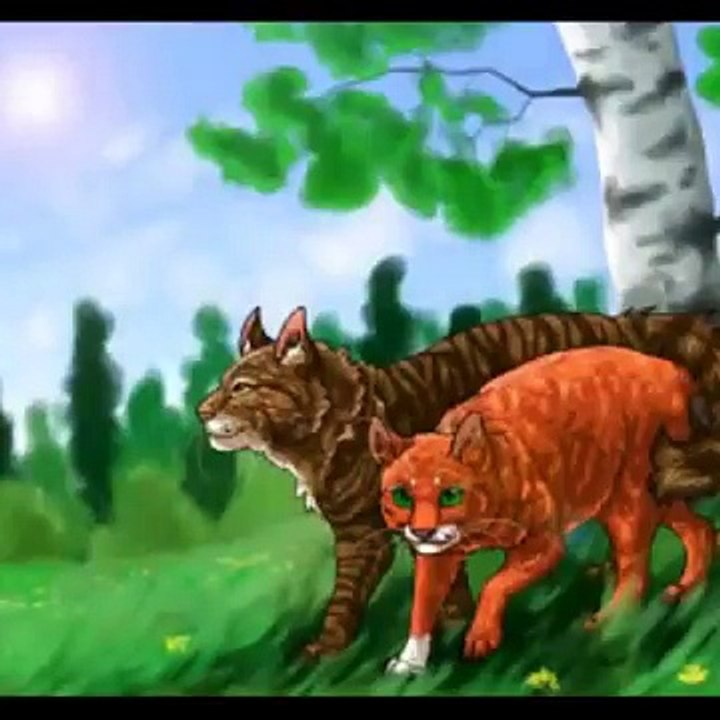 Коты Воители Белка и Ежевика клип 3(Warriors Cat Bra