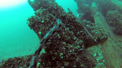 Un plongeur coincé sous un cargo en pleine mer !