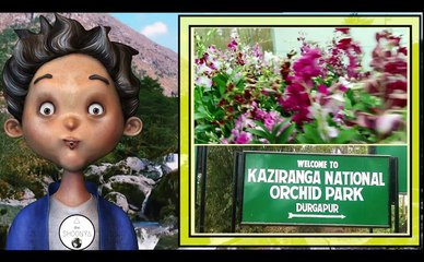 Facts - पूर्वोत्तर भारत |Northeast India