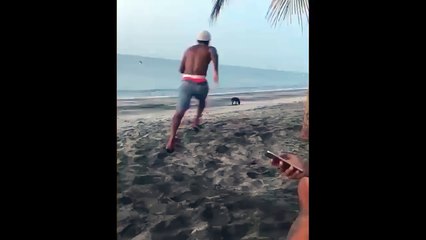 Idiota tenta pontapear cão... mas recebe dose de KARMA INSTANTÂNEO!