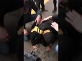 Man Rescued After Falling Onto Subway Tracks in New York City