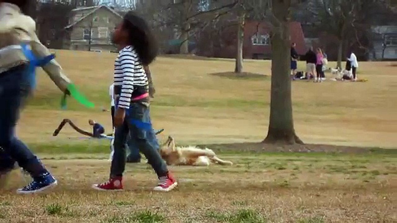 Este Perro Esta Demasiado Cansado - Como Cuando No Te Quieres Parar #Diviertete #Compartelo #Etiquetate